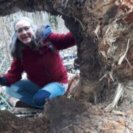 Susanne im Wald, schaut durch einen dicken Baumstamm