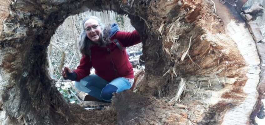 Susanne im Wald, schaut durch einen dicken Baumstamm